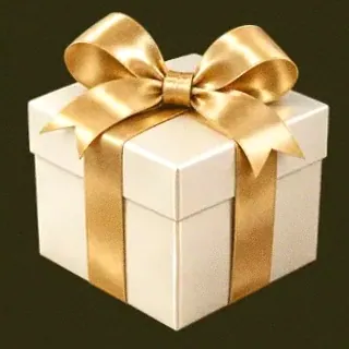 Wrapped gift box — Betzillo